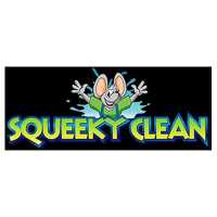Squeeky Clean Logo