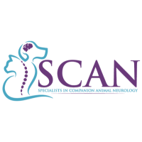 Specialists in Companion Animal Neurology (SCAN) - Naples Logo