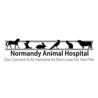 Normandy Animal Hospital Inc Logo