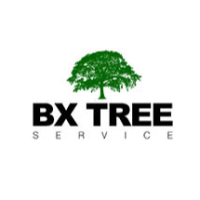 BX Tree Service Logo