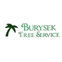 Burysek Tree Service Logo