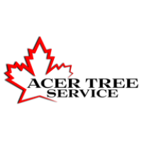 Acer Tree Service Logo