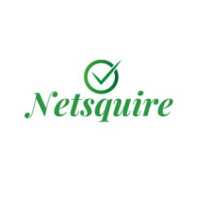 Netsquire Logo