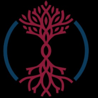 Branched Roots Logo