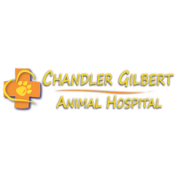 Chandler Gilbert Animal Hospital Logo