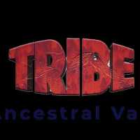 Tribe Media Logo
