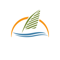 Palm Port Logo