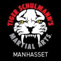Tiger Schulmann's Martial Arts (Manhasset, NY) Logo