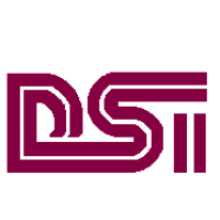 Display Systems AV Services Logo