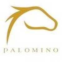 Palomino Insurance Agency Inc Logo