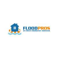 Flood Pro's USA Logo