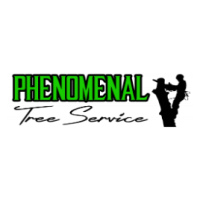 Phenomenal Tree Service Logo