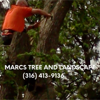 Marcs tree and landscape Logo