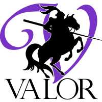 Valor Mold Removal Logo