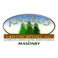 Angelo Palisciano Landscaping Inc Logo