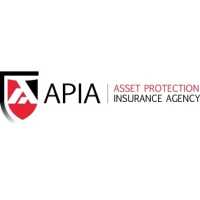Asset Protection Insurance Associates Logo