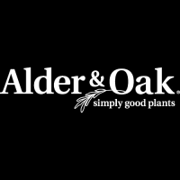 Alder & Oak Logo