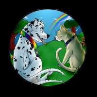 Pawz4Pawz Pet Care Logo