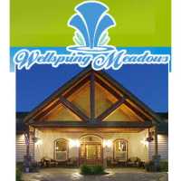 Wellspring Meadows Assisted Living Logo