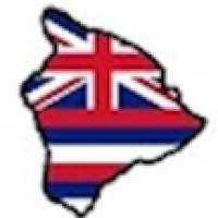 Big Island VIP LLC Logo