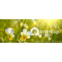 Intercap Lending: Cache Nies, Mortgage Lender Logo