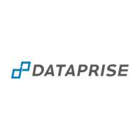 Dataprise Logo
