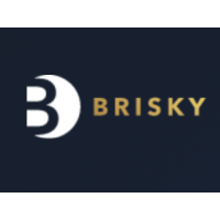 Brisky Net Lease Logo