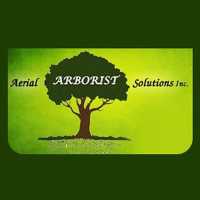 Aerial Arborist Solutions Inc Logo