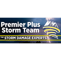 Premier Plus Storm Team Logo