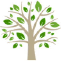 Big Bend Tree Service LLC Logo