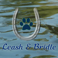 Leash and Bridle Boarding Logo