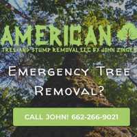 American Tree Service & Stump Removal Logo