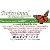 Professional Counseling And Consulting LLC Logo