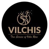 All In Tree Service of Villa Rica Logo