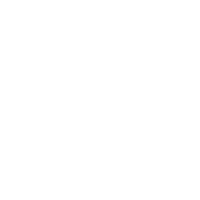 White Knight Security LLC Logo