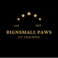 Big N' Small Paws 3 1 7 Logo