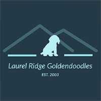 Laurel Ridge Goldendoodles Logo