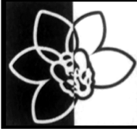 Floral Elegance Logo