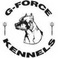 G Force Kennels Logo