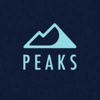 Peaks Digital Marketing Logo