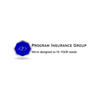 Program Insurance Group Logo