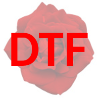 Doris Tanner's Flowers Logo