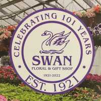 Swan Floral & Gift Shop Logo