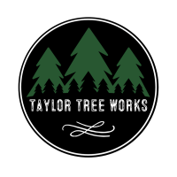 Taylor Tree Works Logo