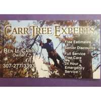 Carr Tree Experts Logo