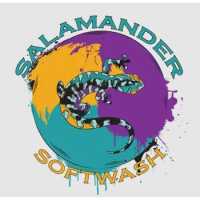 Salamander Softwash LLC Logo