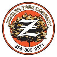 Ziegler Tree Company Logo