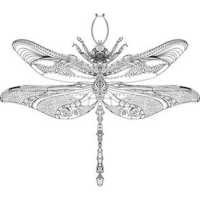 Silver Dragonfly Design Studio Logo