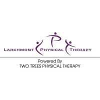 Larchmont Physical Therapy Logo