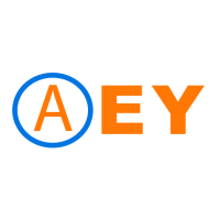 AEY Logo